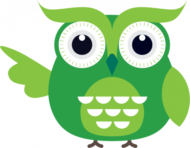 Vihreä pöllö, joka on selkis-hyllyn logo